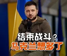 麦基宝宝接萨里克斯金丝雀，再曰惘荨木的简单介绍